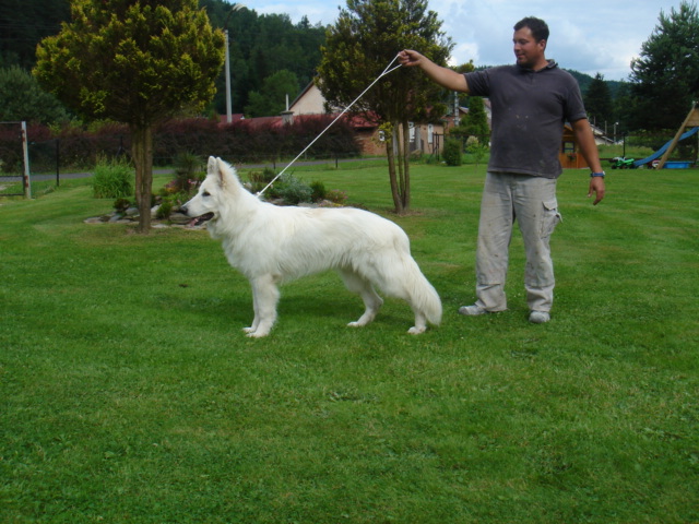 apollo